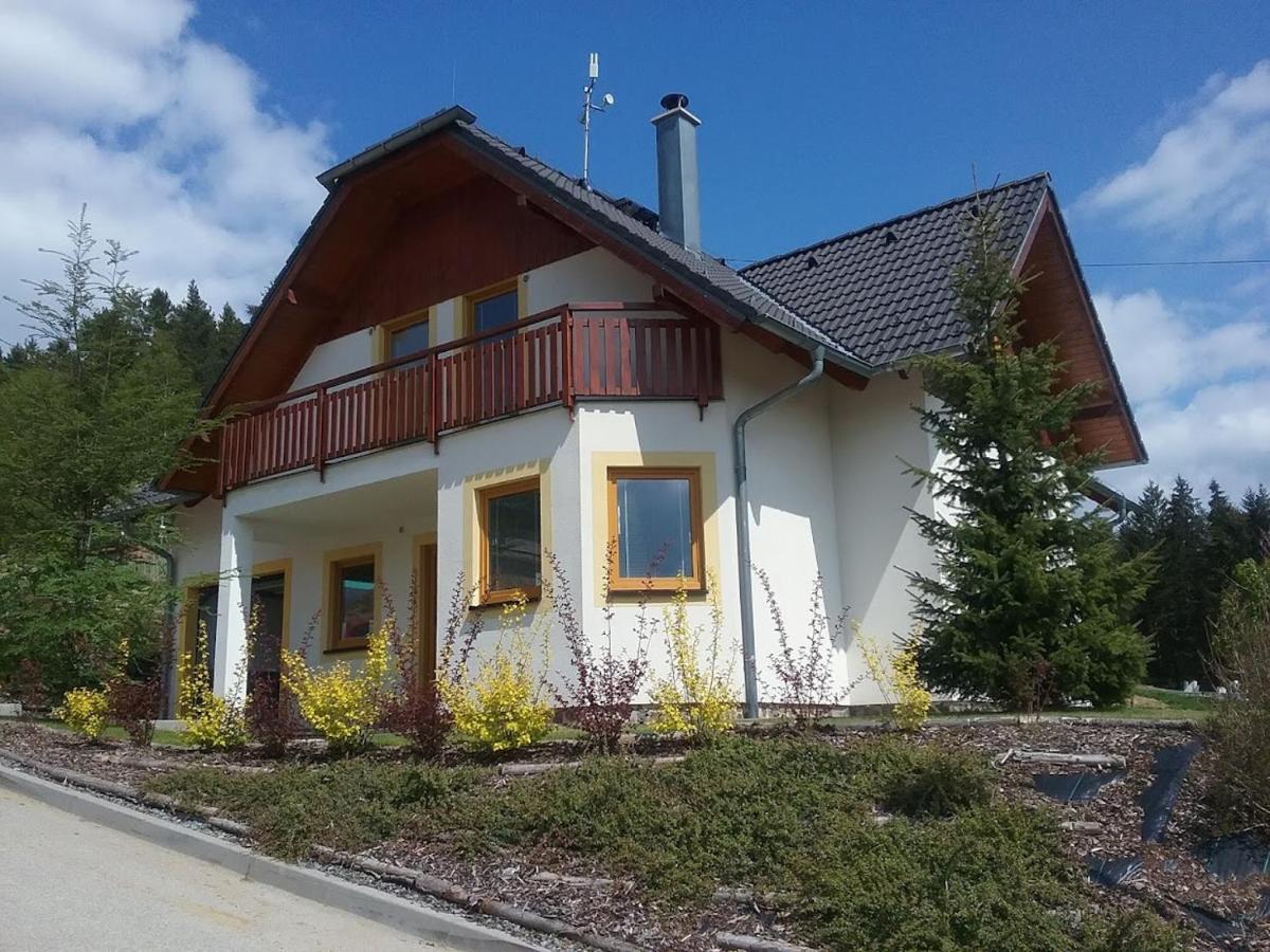 Villapark Lipno Dreams - Pet Friendly Lipno nad Vltavou Dış mekan fotoğraf